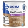 Sigma Woodprotect 2In1 Cl Sat Sb Base 1701 1 L